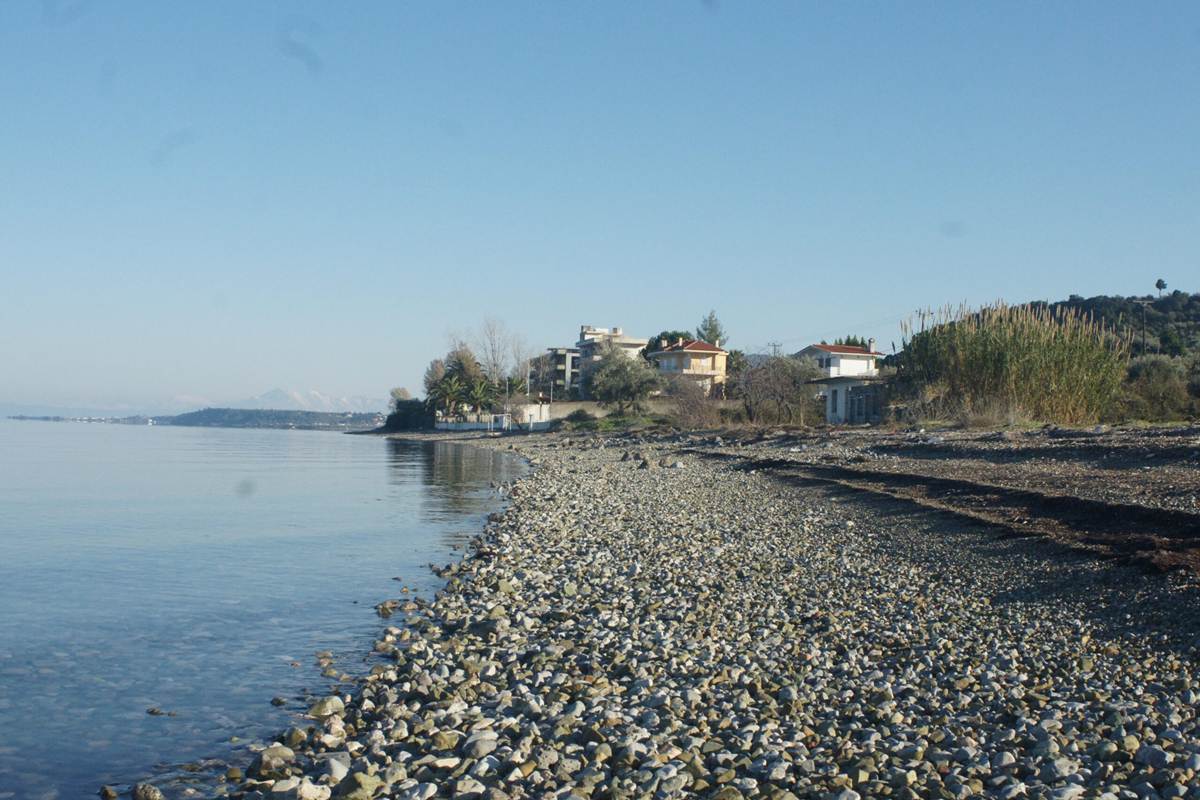 Δήμος Λοκρών, Νομός Φθιώτιδας. Πώληση Οικοπέδου 30.000 Μ2.