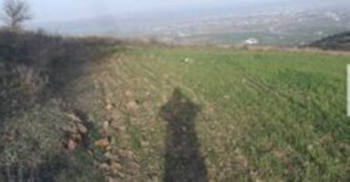 Λητή Θεσ/νικης. Πώληση Αγροτεμαχίου 60.000 Μ2.