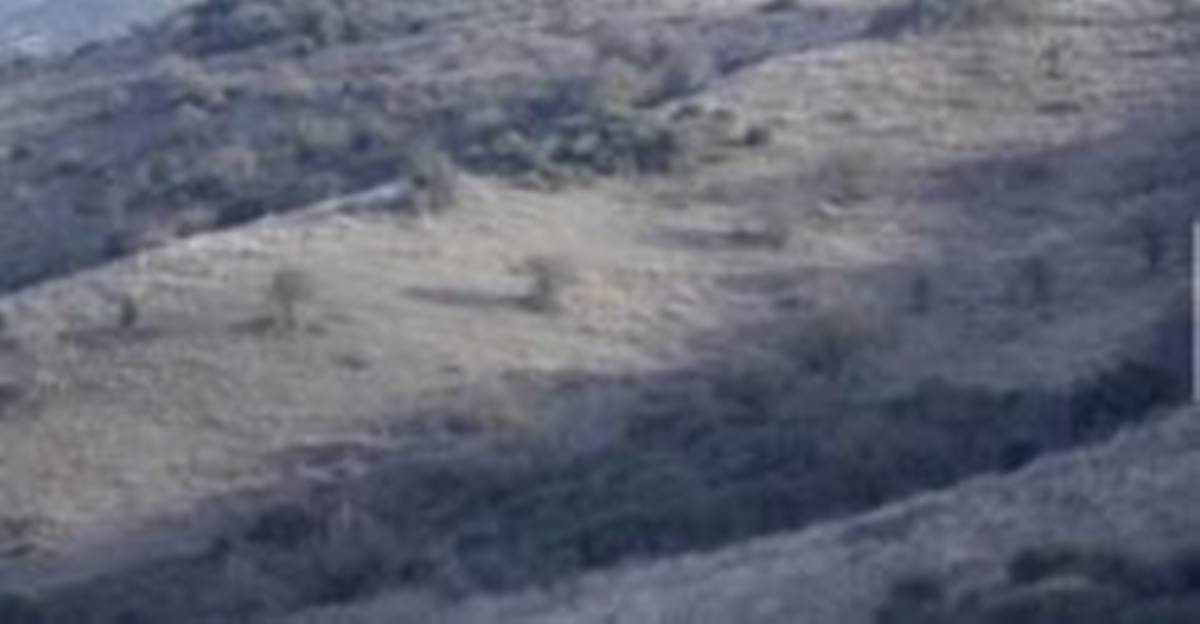 Λητή Θεσ/νικης. Πώληση Αγροτεμαχίου 60.000 Μ2.