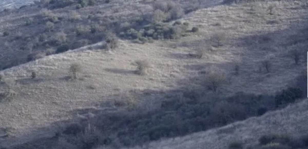 Λητή Θεσ/νικης. Πώληση Αγροτεμαχίου 60.000 Μ2.