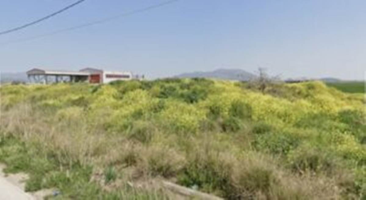 Θήβα. Πώληση Αγροτεμαχίου 4.400 Μ2.