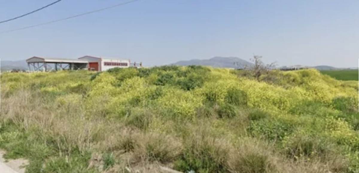 Θήβα. Πώληση Αγροτεμαχίου 4.400 Μ2.