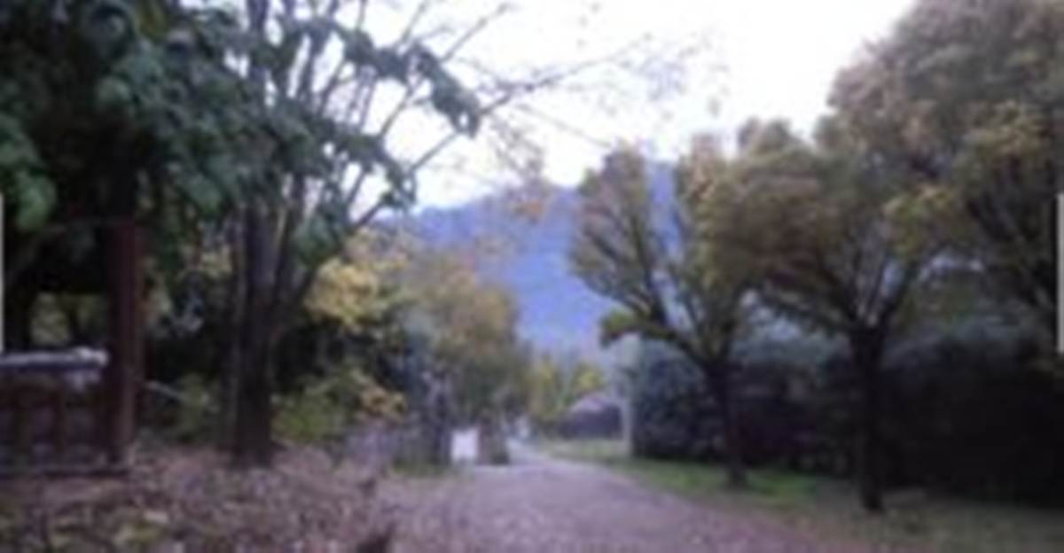 Πολύδροσο Φωκίδας. Πώληση 2 Μονοκατοικιών 224 Μ2.