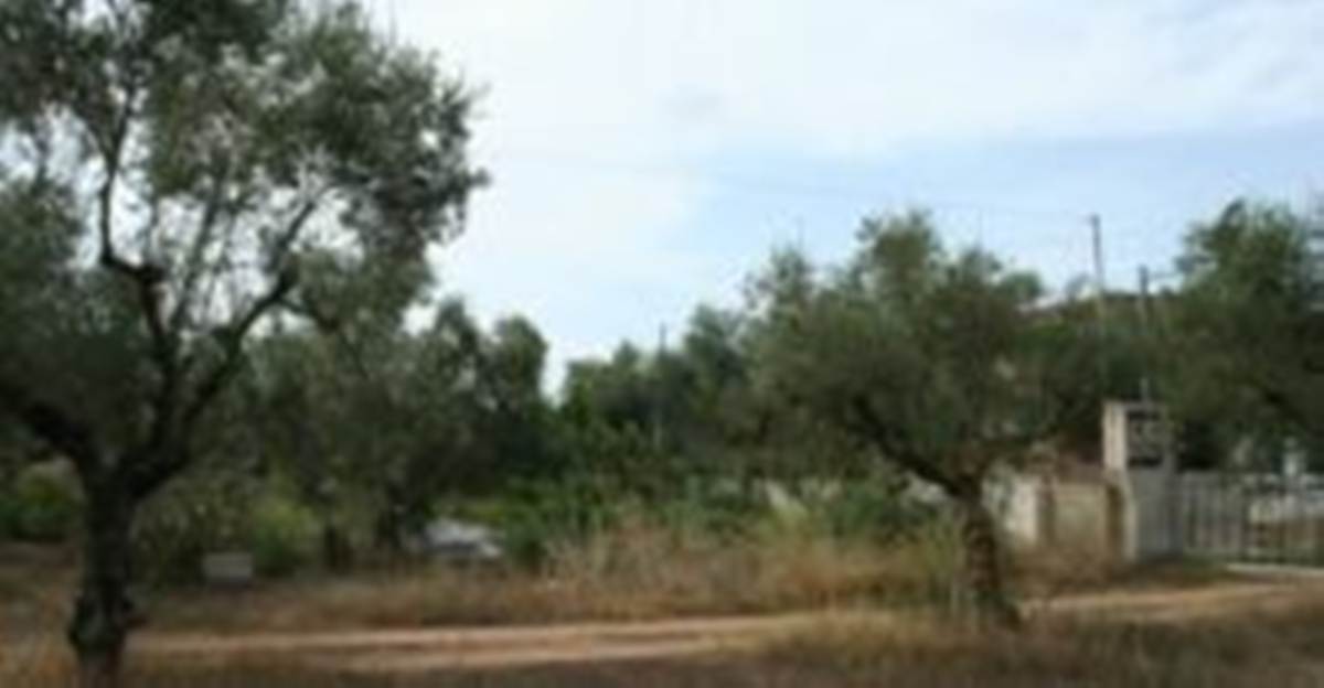 Αριοχώρι Καλαμάτα. Πώληση Οικοπέδου 2.800 Μ2.