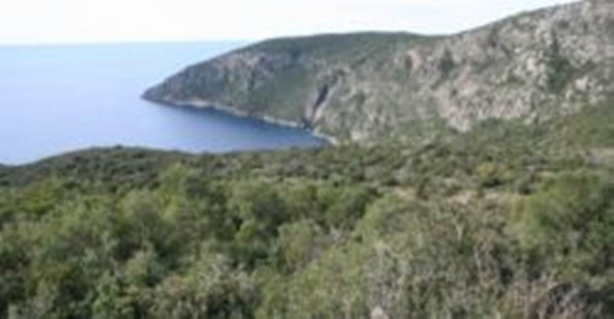Κιτριές Καρδαμύλη. Πώληση οικοδομήσιμης έκτασης 16.200 Μ2