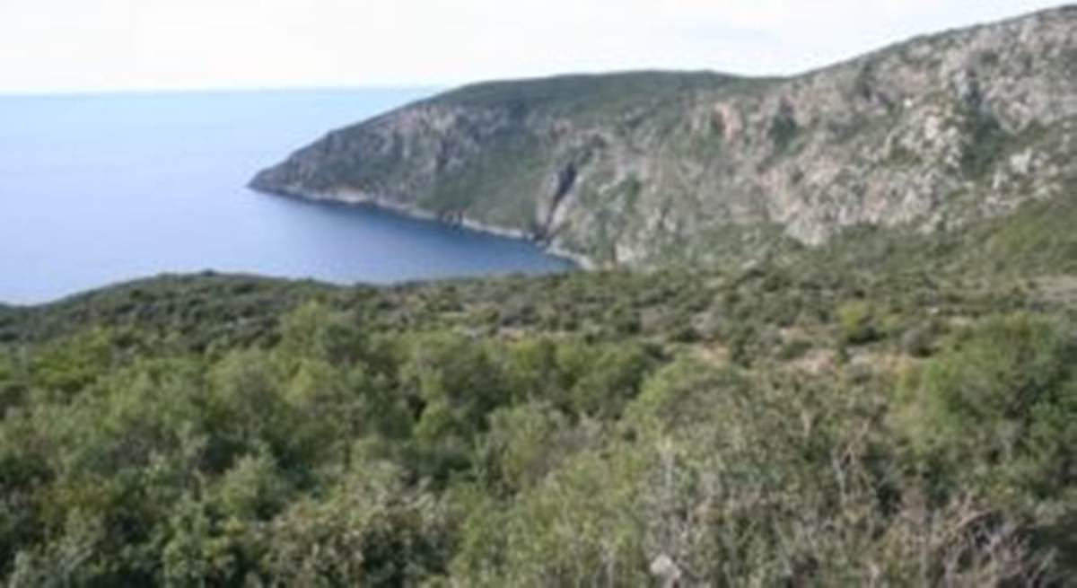 Κιτριές Καρδαμύλη. Πώληση οικοδομήσιμης έκτασης 16.200 Μ2