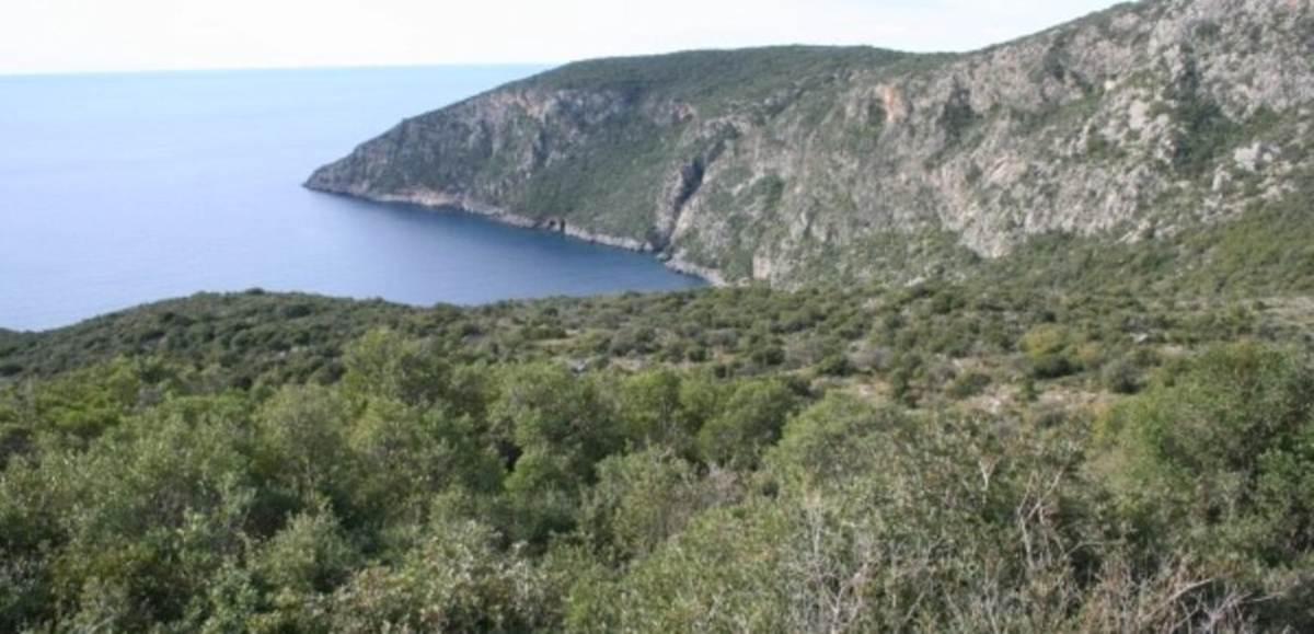 Κιτριές Καρδαμύλη. Πώληση οικοδομήσιμης έκτασης 16.200 Μ2