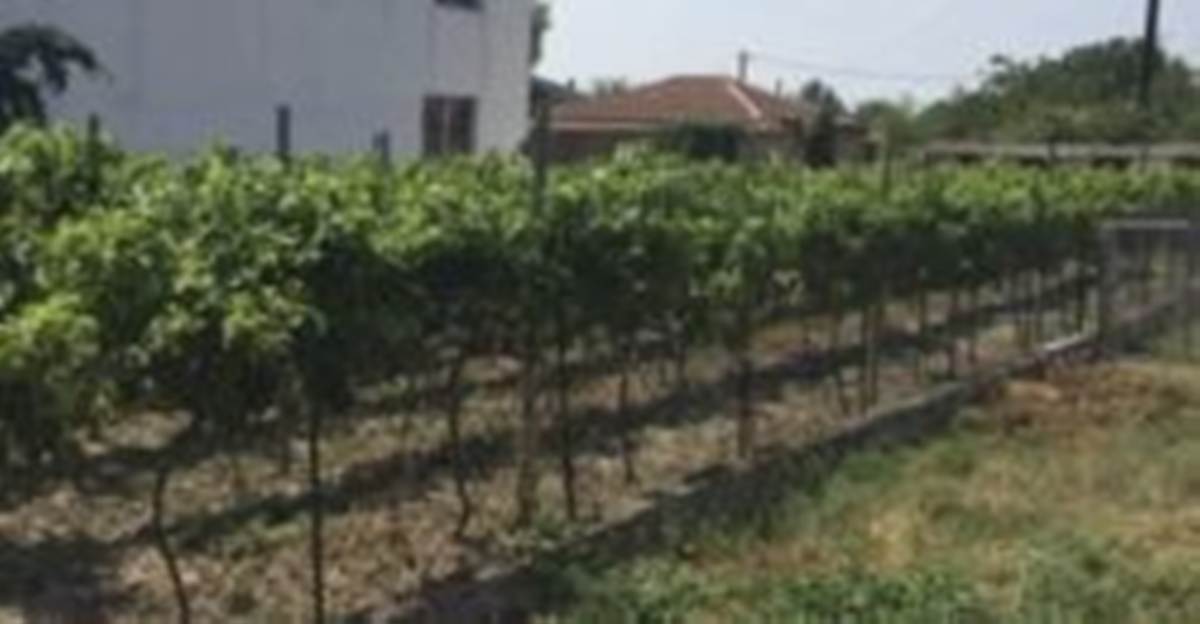 Ορεστιάδα. Πώληση Οικοπέδου 1.000 Μ2 με 2 κατοικίες.