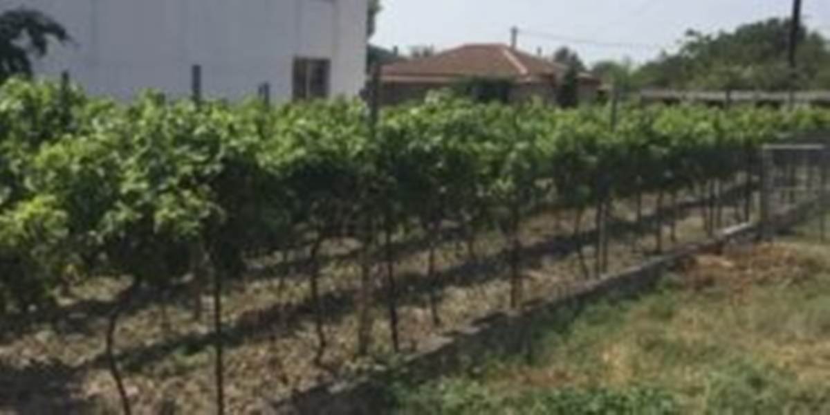 Ορεστιάδα. Πώληση Οικοπέδου 1.000 Μ2 με 2 κατοικίες.