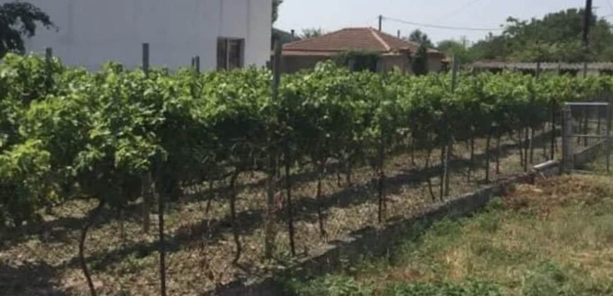 Ορεστιάδα. Πώληση Οικοπέδου 1.000 Μ2 με 2 κατοικίες.