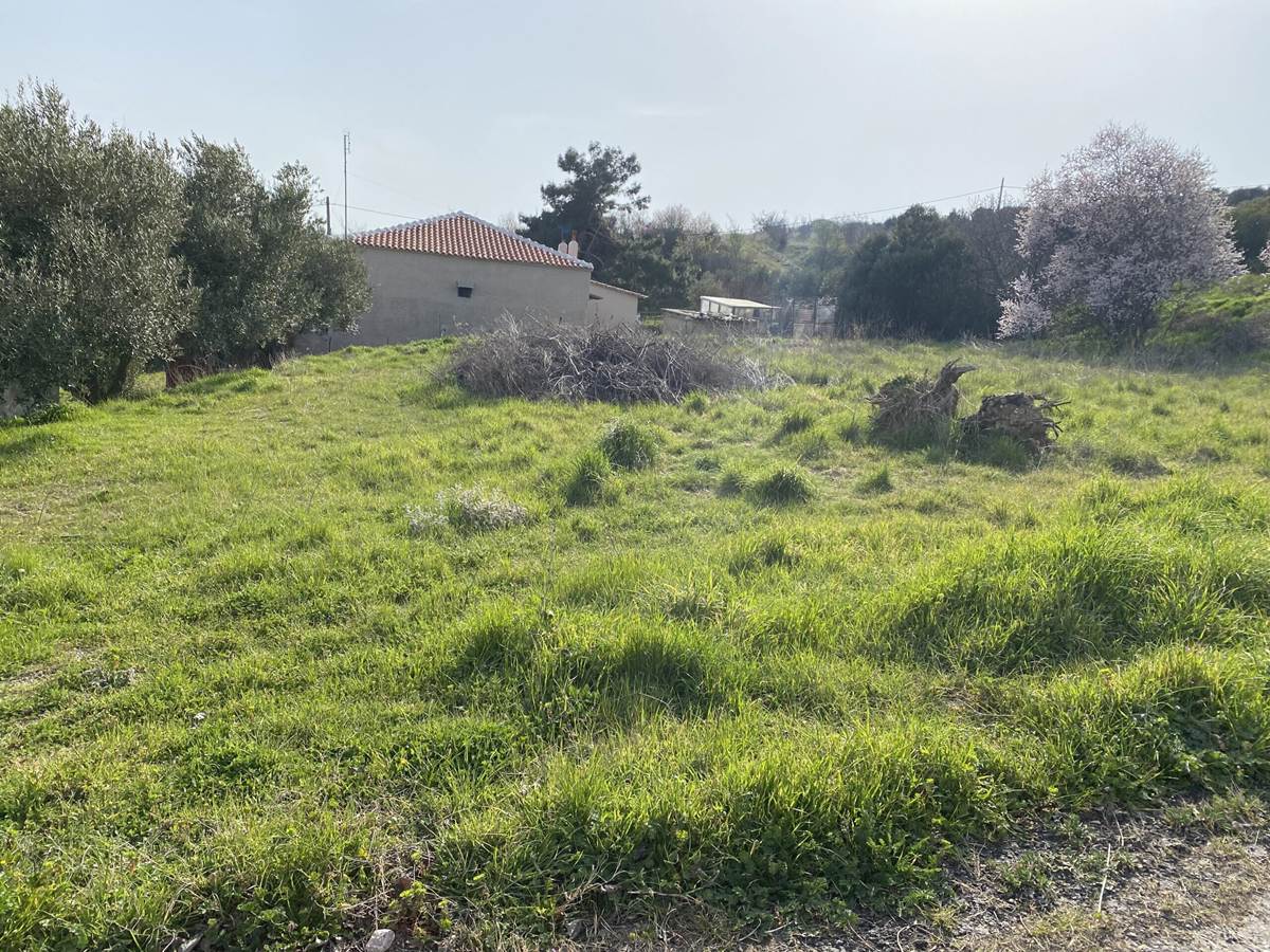 Αλεξ/πολη, Αγνάντια. Πώληση Οικοπέδου 980 Μ2.