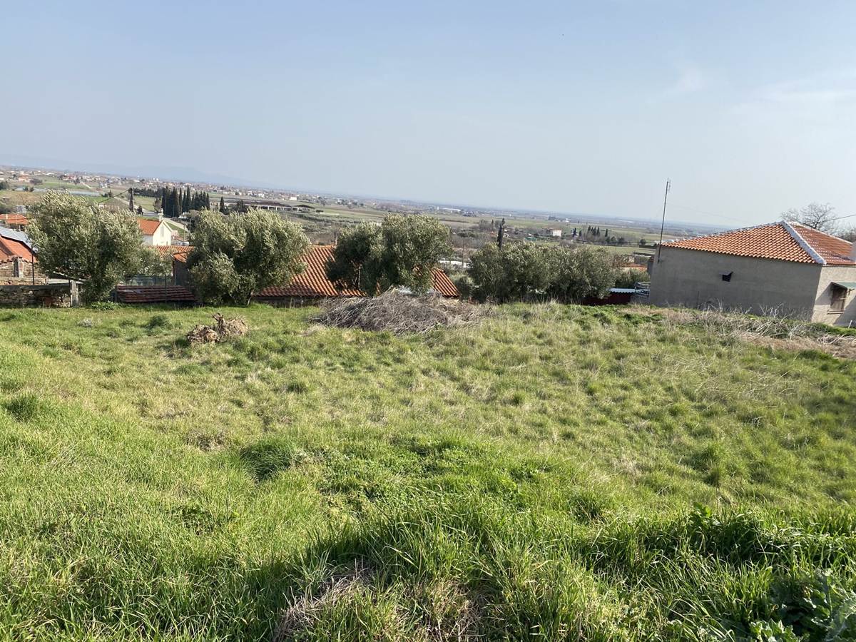 Αλεξ/πολη, Αγνάντια. Πώληση Οικοπέδου 980 Μ2.