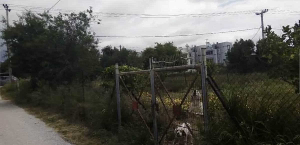 Βάρη Βάρκιζα. Πώληση Οικοπέδου 1.000 Μ2.