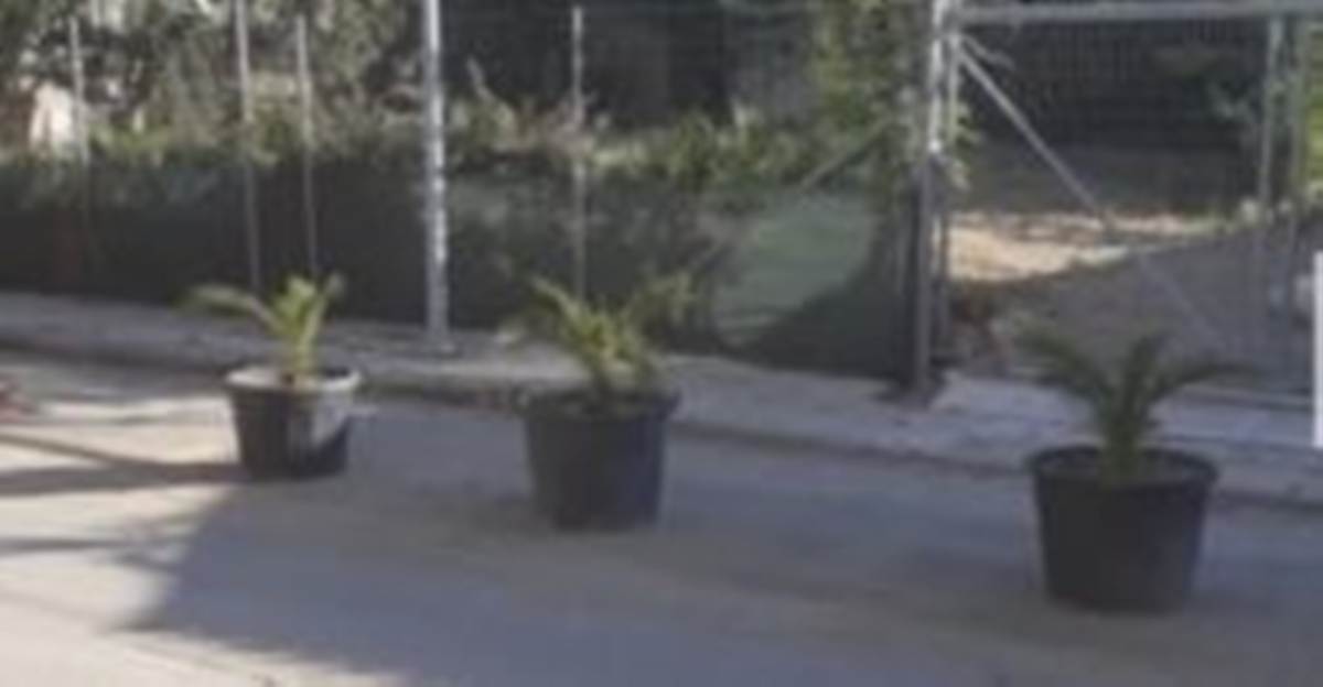 Αθήνα, Μαρούσι, Παράδεισος. Πώληση Οικοπέδου 444 Μ2.