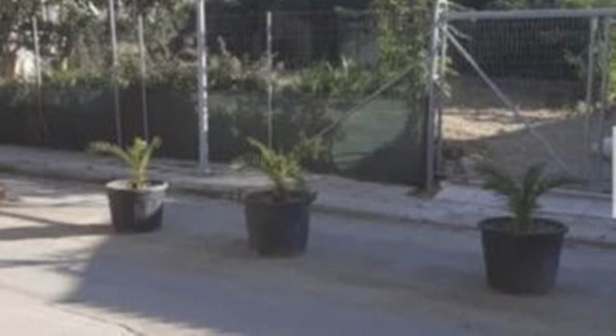 Αθήνα, Μαρούσι, Παράδεισος. Πώληση Οικοπέδου 444 Μ2.