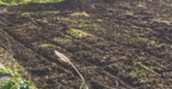 Φιλιατρά, Μεσσηνίας. Πώληση Οικοπέδου 2.650 Μ2.