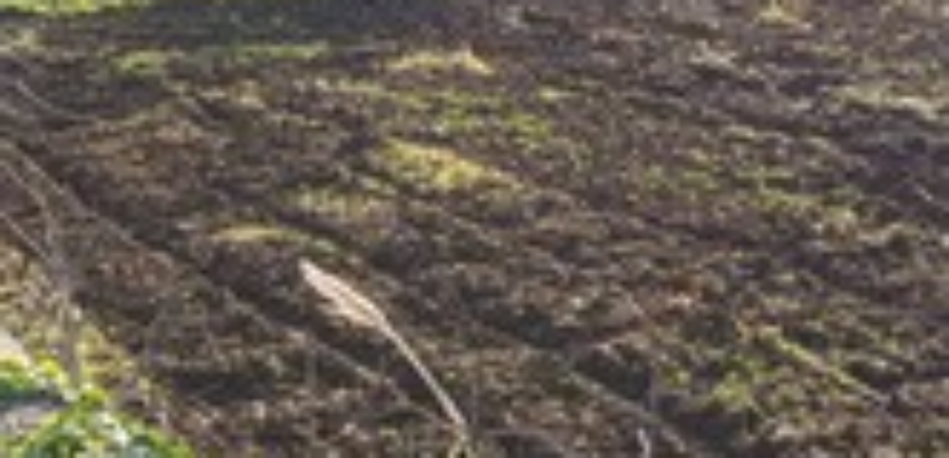 Φιλιατρά, Μεσσηνίας. Πώληση Οικοπέδου 2.650 Μ2.