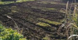 Φιλιατρά, Μεσσηνίας. Πώληση Οικοπέδου 2.650 Μ2.