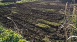 Φιλιατρά, Μεσσηνίας. Πώληση Οικοπέδου 2.650 Μ2.