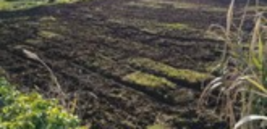 Φιλιατρά, Μεσσηνίας. Πώληση Οικοπέδου 2.650 Μ2.