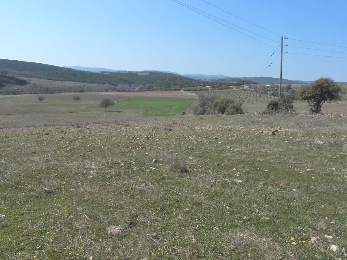 Αλεξ/πολη. Πώληση Αγροτεμαχίου 7.800 Μ2.