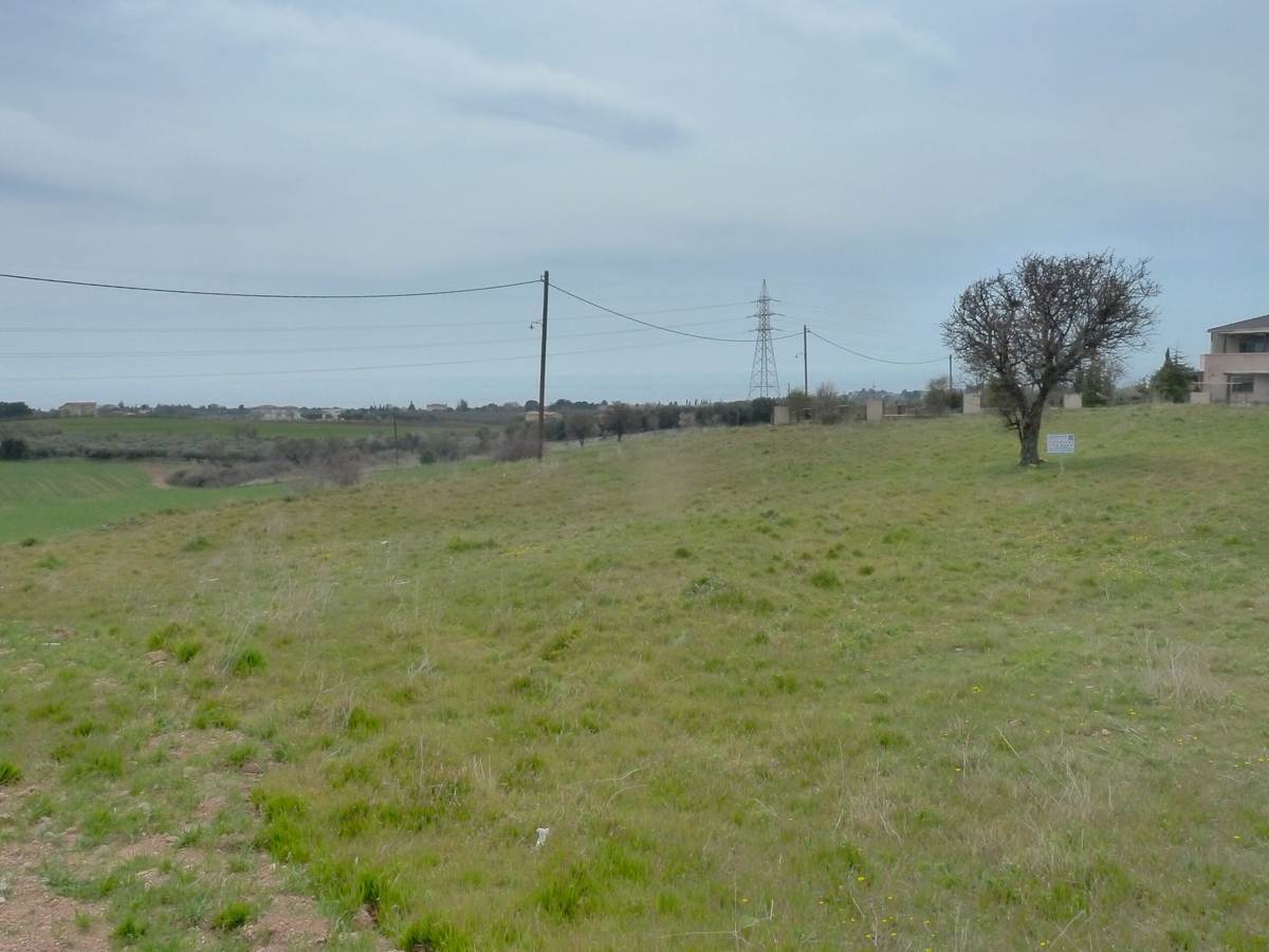 Αλεξ/πολη. Ν. Χιλή, Καλλιθέα. Πώληση Αγροτεμαχίου 5.510 με δόμηση.