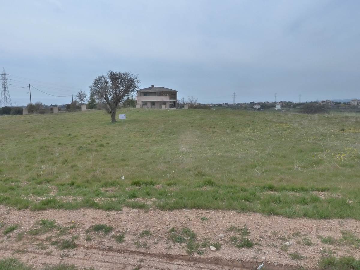 Αλεξ/πολη. Ν. Χιλή, Καλλιθέα. Πώληση Αγροτεμαχίου 5.510 με δόμηση.