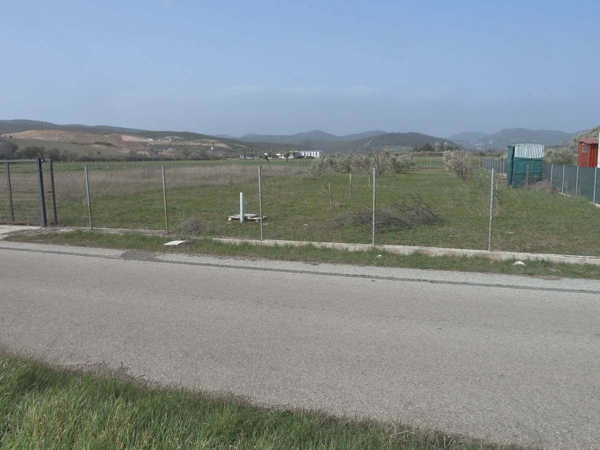 Αλεξ/πολη. Κρυονέρι οδός Άβαντος. Πώληση Αγροτεμαχίου 3.600 Μ2.