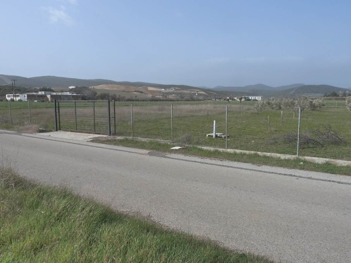 Αλεξ/πολη. Κρυονέρι οδός Άβαντος. Πώληση Αγροτεμαχίου 3.600 Μ2.