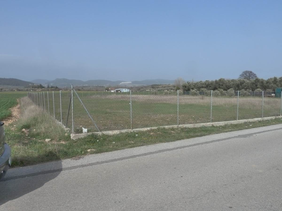 Αλεξ/πολη. Κρυονέρι οδός Άβαντος. Πώληση Αγροτεμαχίου 3.600 Μ2.