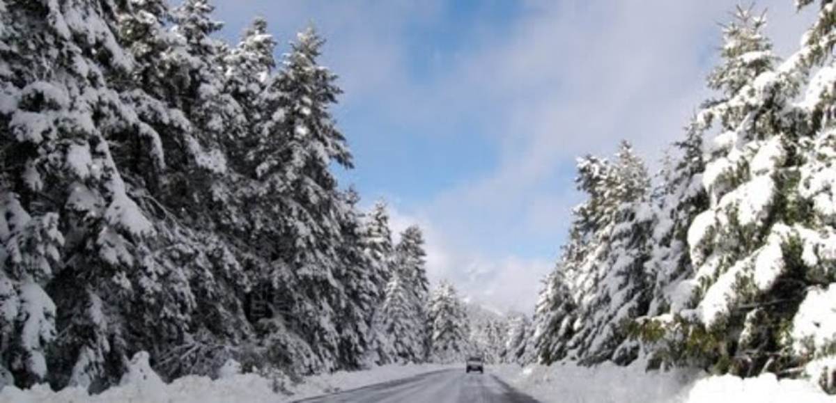 Επτάλοφο Φωκίδας. Θέση Δόκανο Παρνασσού.  Πώληση Ξύλινης Βίλας Σαλέ  225 Μ2.