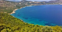 Μαραθώνας Αττική. Πώληση Αγροτεμαχίου 8.325 Μ2.