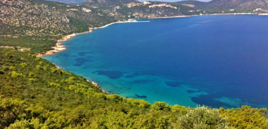 Μαραθώνας Αττική. Πώληση Αγροτεμαχίου 8.325 Μ2.