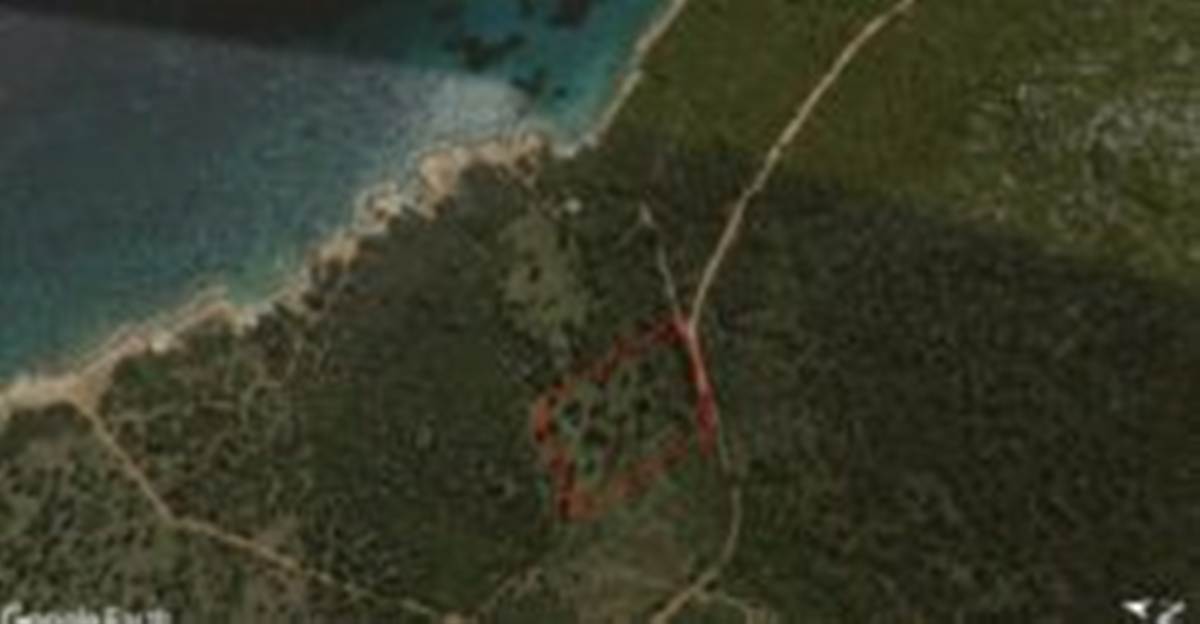 Μαραθώνας Αττική. Πώληση Αγροτεμαχίου 8.325 Μ2.