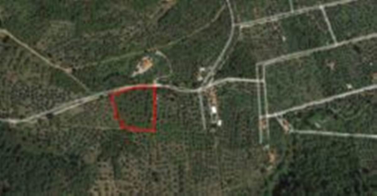 Θάσος, Καμάρι Ποτού. Πώληση Αγροτεμαχίου 5.331 Μ2.