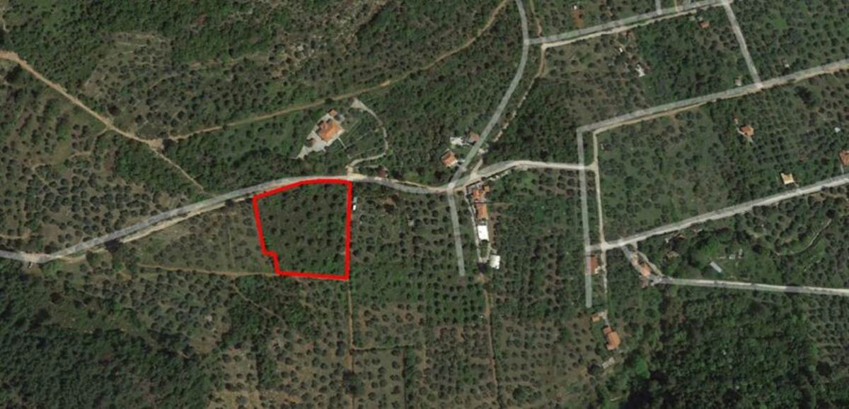 Θάσος, Καμάρι Ποτού. Πώληση Αγροτεμαχίου 5.331 Μ2.