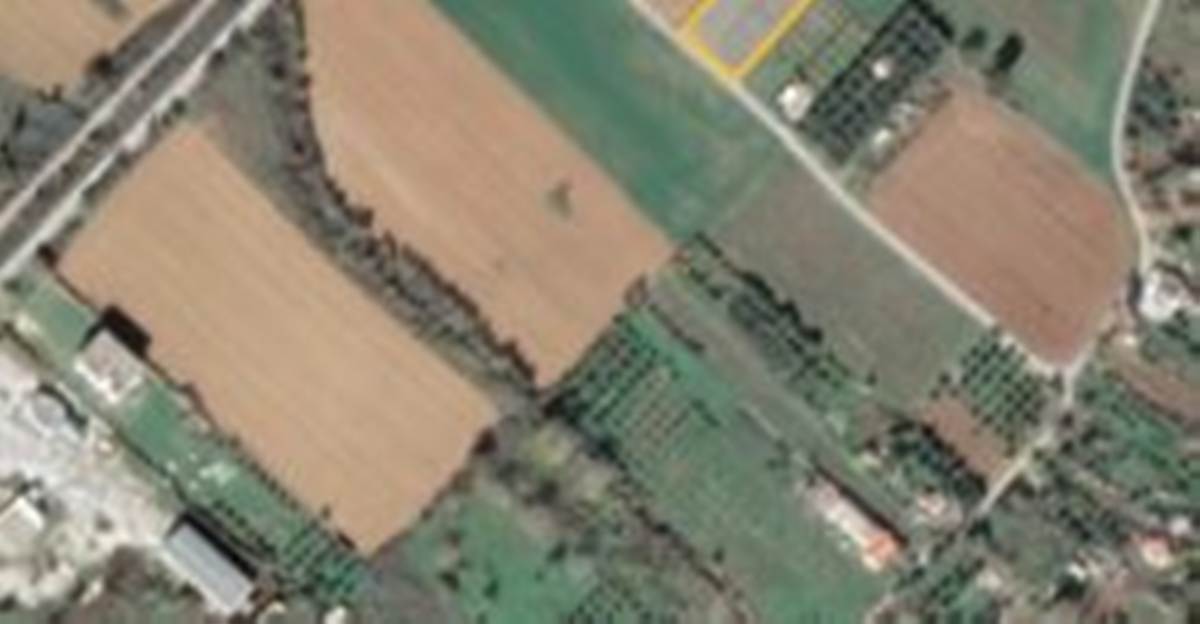 Αλεξ/πολη. Κρυονέρι οδός Άβαντος. Πώληση Αγροτεμαχίου 3.600 Μ2.