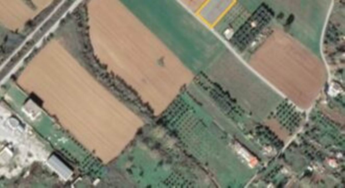 Αλεξ/πολη. Κρυονέρι οδός Άβαντος. Πώληση Αγροτεμαχίου 3.600 Μ2.