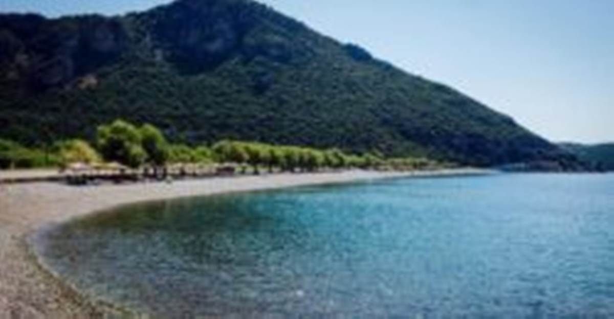 Παραλία Σεργούλας Φωκίδα. Πώληση Αγροτεμαχίου 30.940 Μ2.