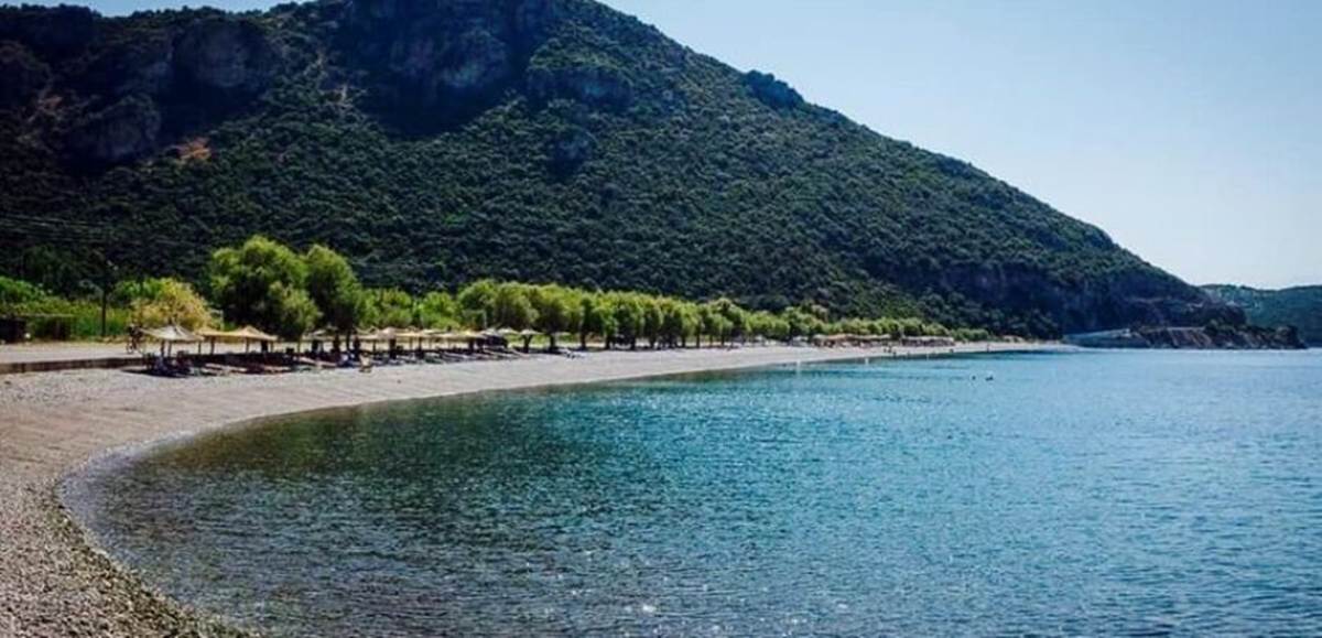 Παραλία Σεργούλας Φωκίδα. Πώληση Αγροτεμαχίου 30.940 Μ2.