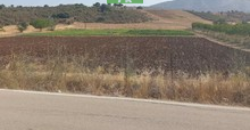 Νεοχώρι Επιδαύρου. Πώληση Οικοπέδου 10.000 Μ2.