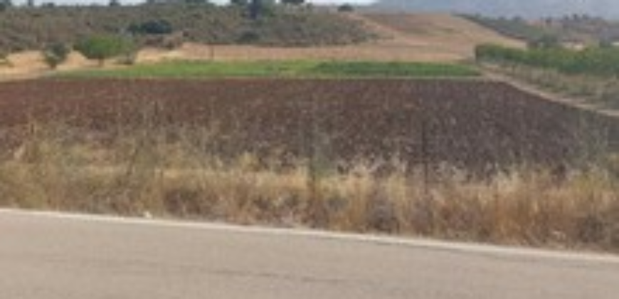 Νεοχώρι Επιδαύρου. Πώληση Οικοπέδου 10.000 Μ2.