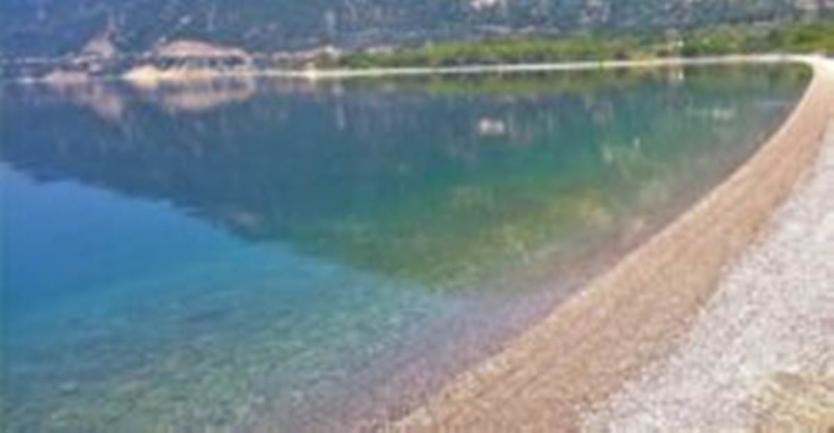 Παραλία Σεργούλας Φωκίδα. Πώληση Αγροτεμαχίου 30.940 Μ2.