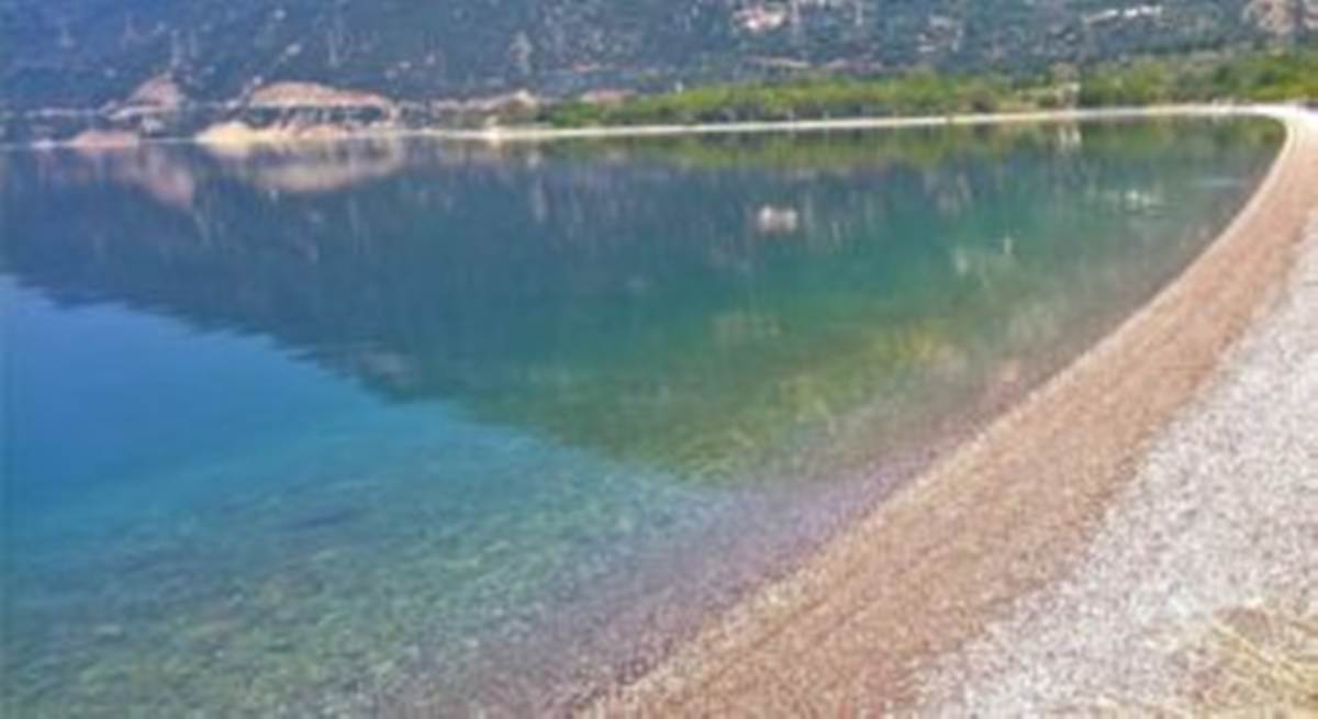 Παραλία Σεργούλας Φωκίδα. Πώληση Αγροτεμαχίου 30.940 Μ2.