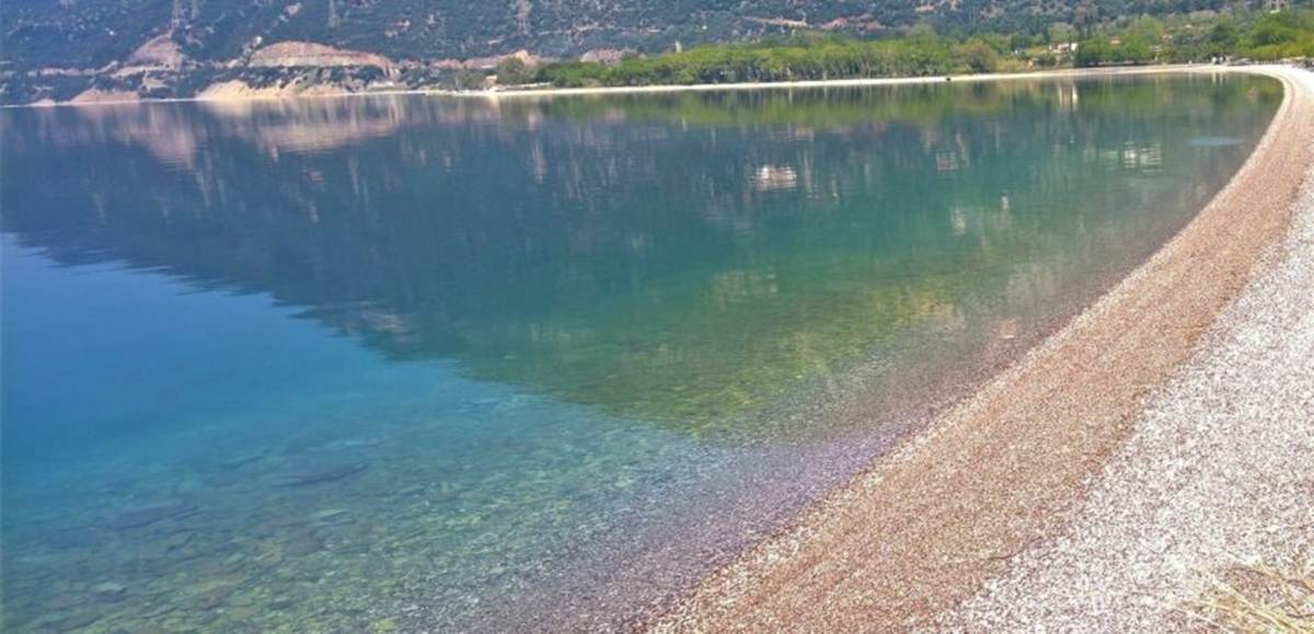 Παραλία Σεργούλας Φωκίδα. Πώληση Αγροτεμαχίου 30.940 Μ2.