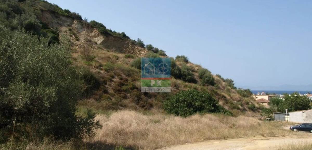 Ν. Πύργος Εύβοιας. Πώληση Οικοπέδου 3.500 Μ2.