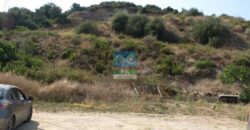 Ν. Πύργος Εύβοιας. Πώληση Οικοπέδου 3.500 Μ2.