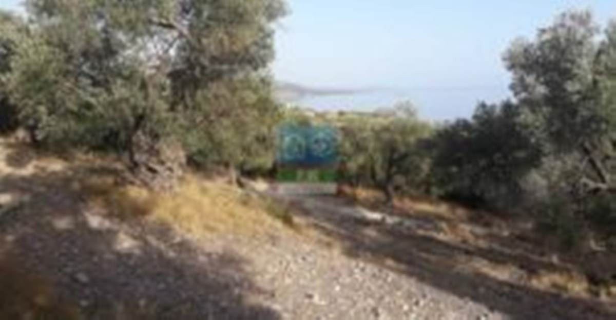 Λέσβος, Πάμφιλα. Πώληση Οικοπέδου 4.000 Μ2.