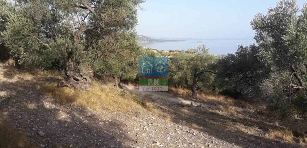 Λέσβος, Πάμφιλα. Πώληση Οικοπέδου 4.000 Μ2.