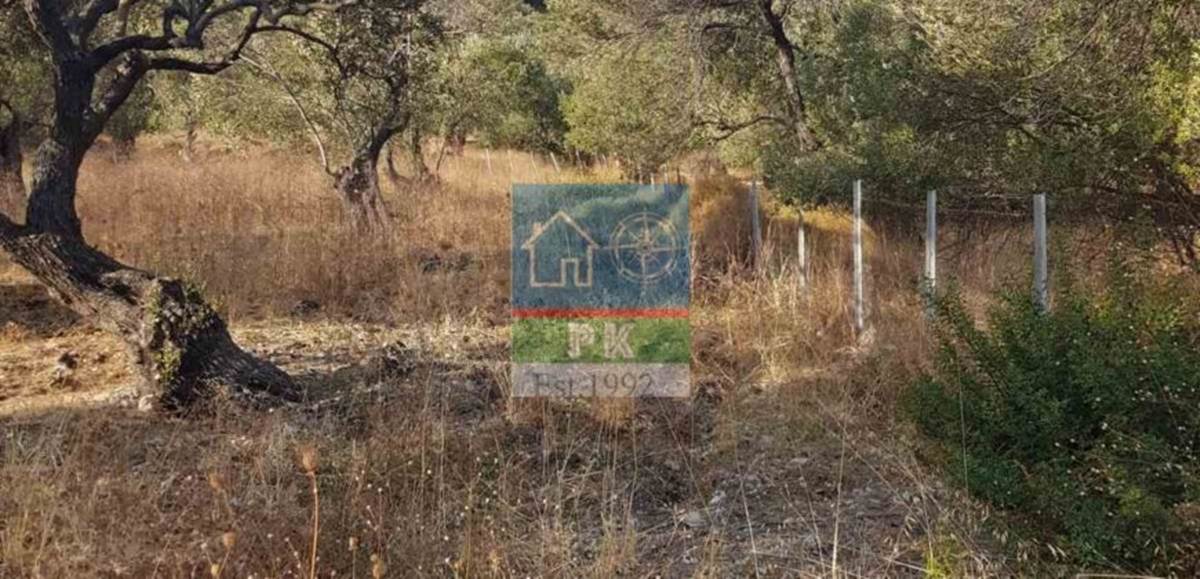 Λέσβος, Πάμφιλα. Πώληση Οικοπέδου 7.500 Μ2.